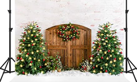 Stunning 10×10ft Christmas Backdrop: Festive Brick Wall & Wooden Door
