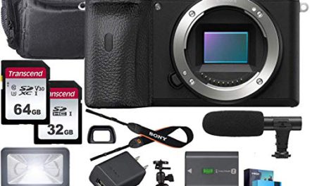 Capture the Sony Alpha a6600: Powerful Mirrorless Camera