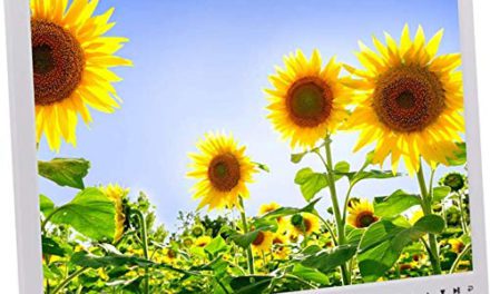 High-Def Digital Frames: Touch Buttons, 17″ Display, Wall-Mountable, Remote