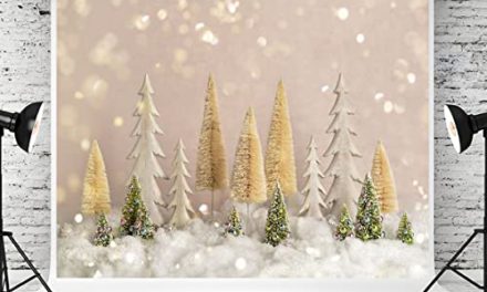 Sparkling Winter Wonderland: Kate’s 10×8ft Glitter Christmas Tree & Backdrop