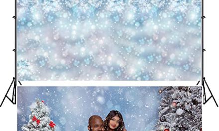 Capture Magical Winter Moments with LFEEY Snowflake Backdrops