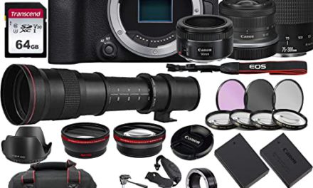 Introducing the Powerful Canon EOS R10 Camera