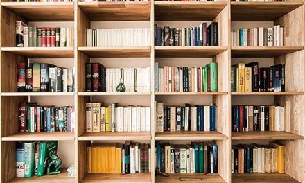 Enchanting Wood Bookcase: Captivating Backdrop for Book Lovers