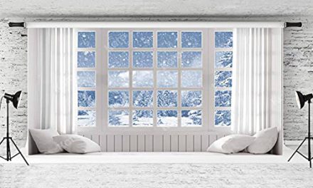 Capture the Magic: Kate Snowy Christmas Photo Backdrop – 20x10ft