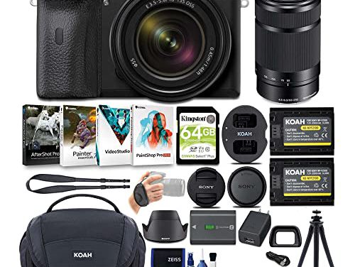 Capture Life’s Brilliance: Sony Alpha a6600 Mirrorless Bundle