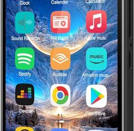 Ultimate 80GB MP3 Player: Bluetooth, WiFi, Touchscreen, Spotify, Audible, Speaker, FM Radio, E-Book, 512 GB