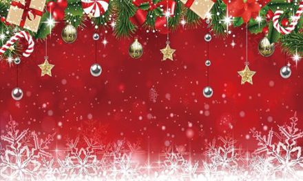 Capture Festive Moments: Christmas Red Backdrop with Snowflakes – Ideal for Merry Xmas Photography