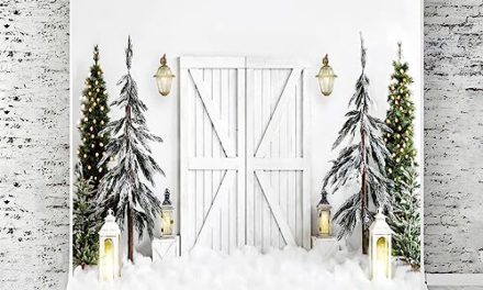 Enchanting Xmas Photo Booth Props: Kate’s Festive Photography Backdrop