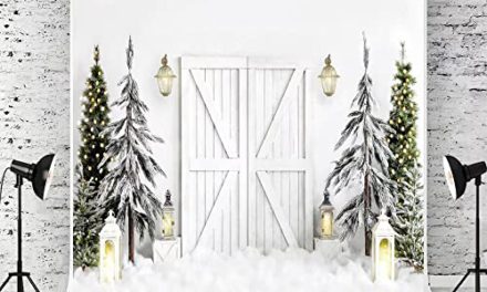 Capture the Magic: Kate’s Winter Wonderland Backdrop for Photography
