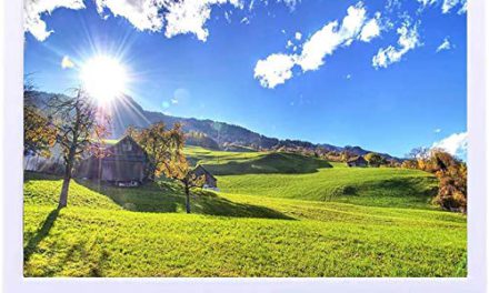 Stunning 17″ Digital Photo Frame: High-Res Picture & Video, Music, Clock, Calendar – Remote Control