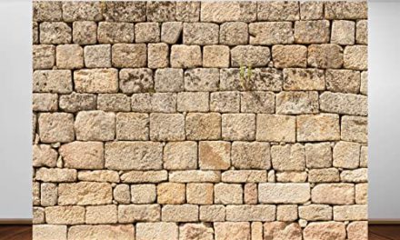 Capture Memories with BELECO’s Vintage Brick Stone Wall Backdrop