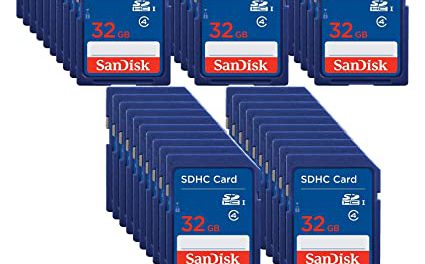 Limited Time Offer: Get 50 SanDisk 32GB SDHC Cards + Bonus!