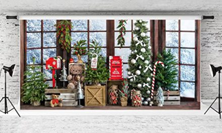 Capture the Festive Magic: Kate’s Enchanting 20x10ft Christmas Backdrop