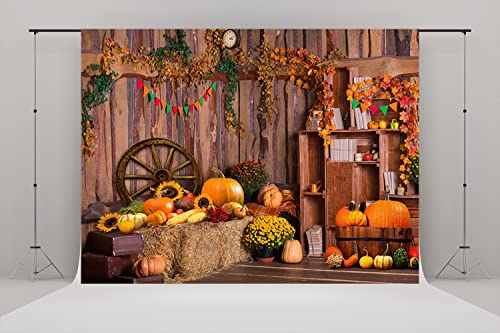Celebrate Autumn Harvest: 20X10ft Countryside Dream