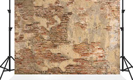 Capture Timeless Moments with Kate’s Vintage Brick Wall Backdrop