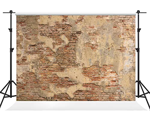 Capture Timeless Moments with Kate’s Vintage Brick Wall Backdrop