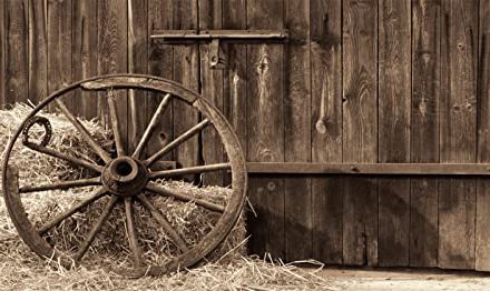 Cowboys’ Country Adventure: Vintage Barn, Hay Bales & Western Fun!
