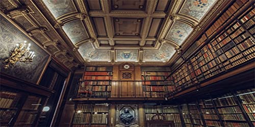Enchanting Vintage Library Backdrop for Photography