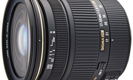 Powerful Sigma 17-50mm Lens: Capture with Precision