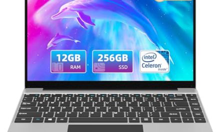 Powerful Jumper Laptop: High RAM, Fast CPU, Stunning Display!