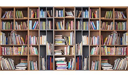 Retro BookshelfBackdrop: Vintage Charm for Artistic Portraits