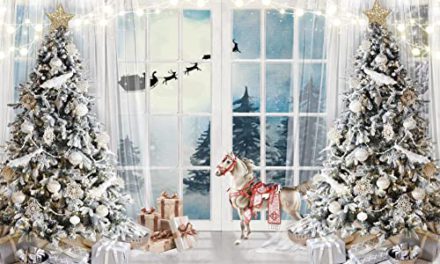 Capture Festive Moments: Magical Christmas Backdrop!