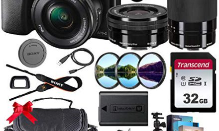 Capture Life’s Moments with Sony Alpha a6100 Camera