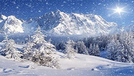 Captivating Winter Wonderland Photography Backdrop