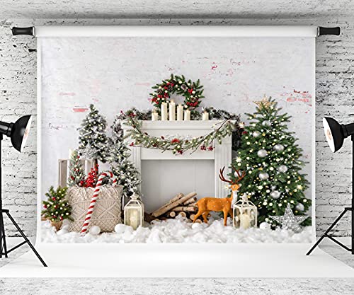Capture the Festive Spirit with Kate’s Christmas Backdrop!