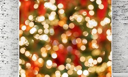 Capture Magical Christmas Moments with Kate’s 10×10 Backdrop – Perfect for Festive Photography!