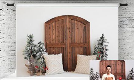 Capture Festive Magic: Kate’s 10×10 Christmas Backdrop for Barn Door Photography