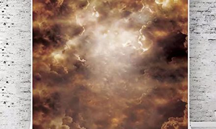 Captivating Kate’s Dynamic 10x10ft Abstract Photography Backdrops