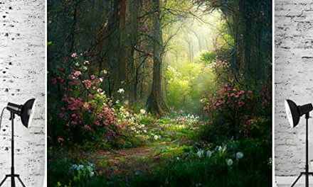 Capture the Enchanting Beauty of Nature with Kate’s Forest Backdrop!