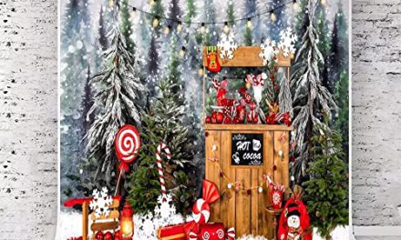 Capture the Magic: Kate’s Christmas Wonderland