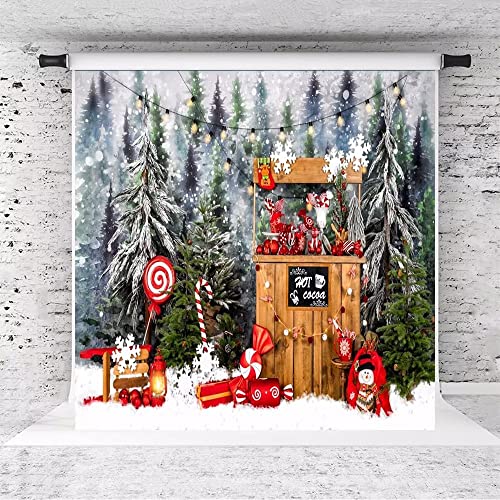 Capture the Magic: Kate’s Christmas Wonderland