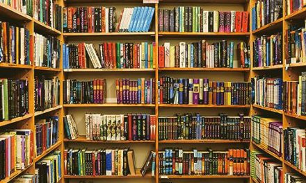 Enchanting Wooden Bookshelf: Perfect for Photoshoots, Parties, and More!